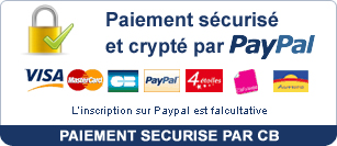 solution paypal